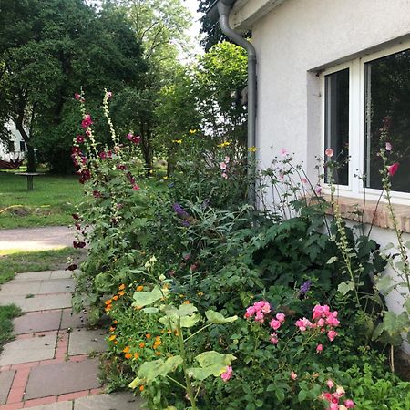 Cabana In Zweedorf An Der Ostsee Apartman Szoba fotó